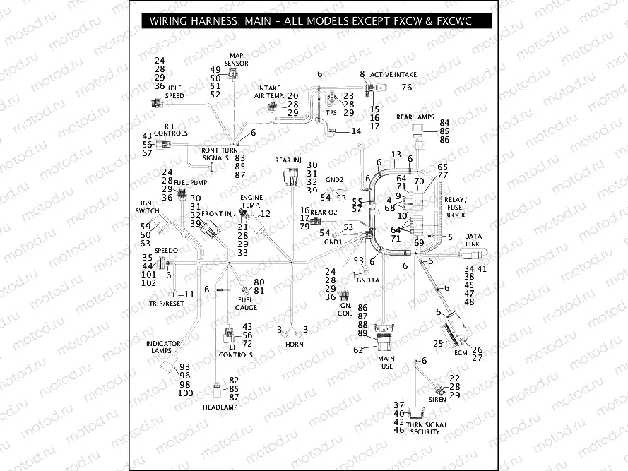 WIRING HARNESS, MAIN - ALL MODELS EXCEPT FXCW/FXCWC (1 OF 2)