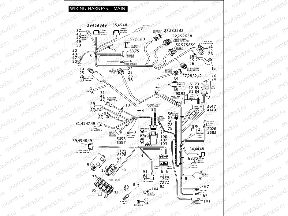 WIRING HARNESS, MAIN (CONTINUED)