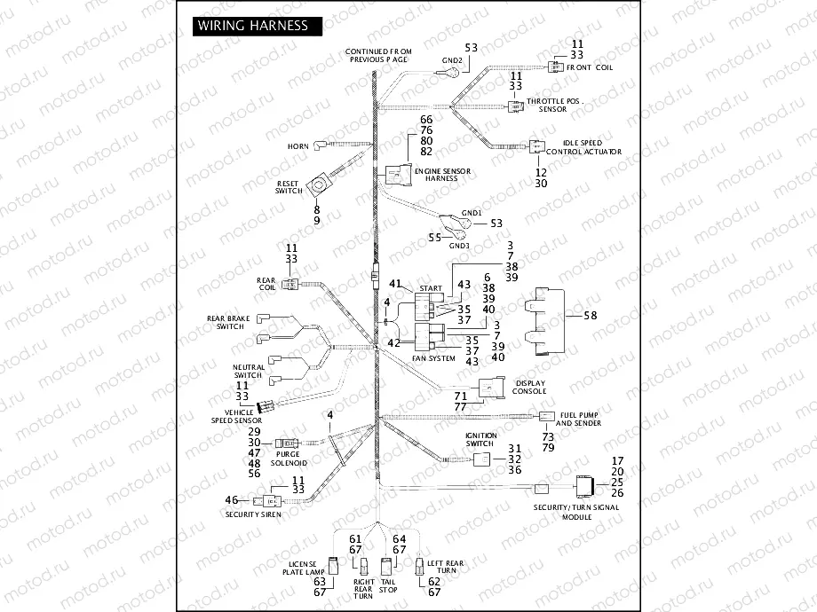 WIRING HARNESS, MAIN (CONTINUED)