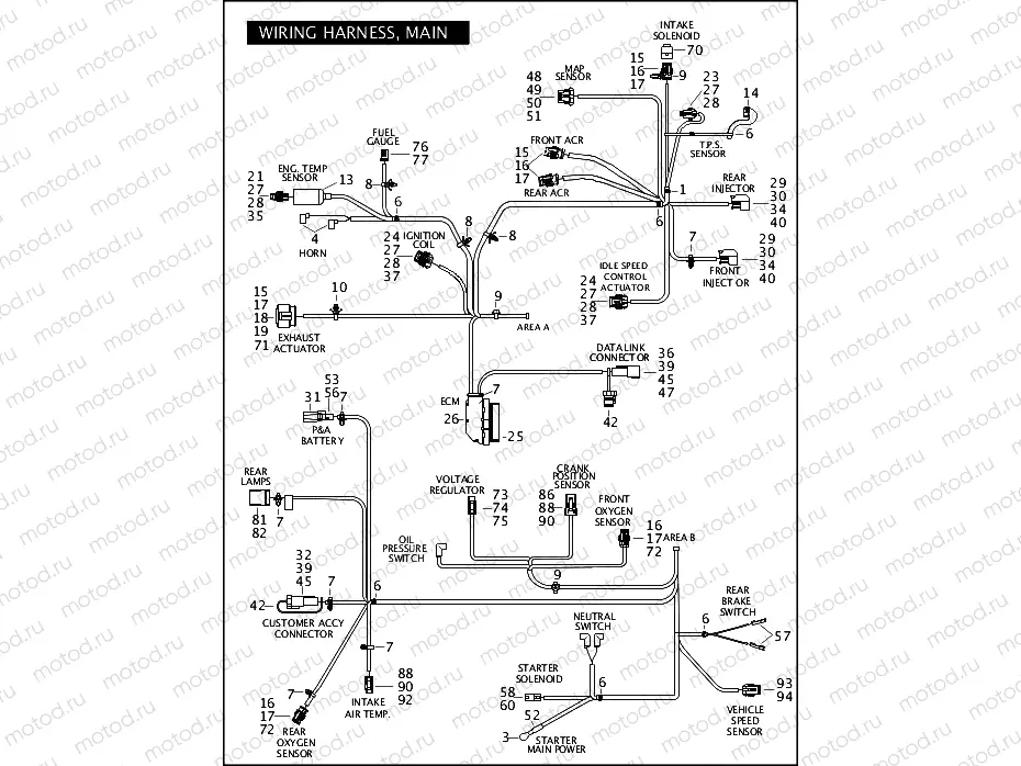 WIRING HARNESS, MAIN (CONTINUED)