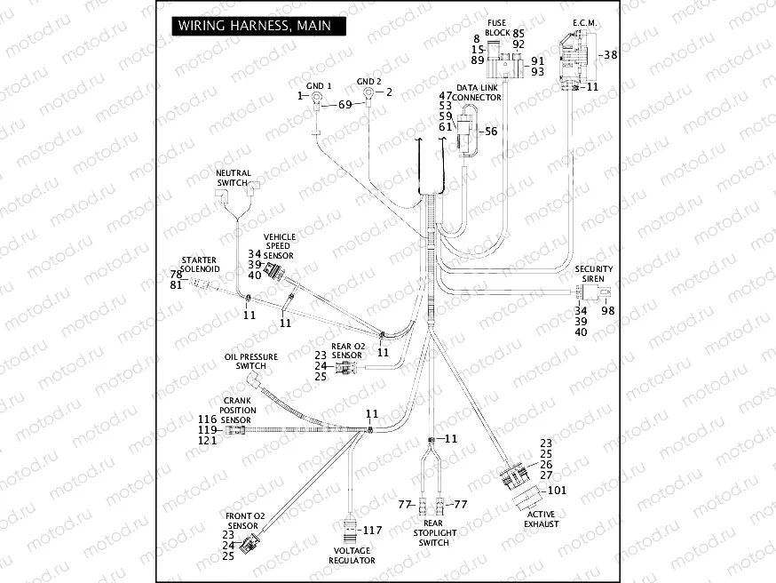 WIRING HARNESS, MAIN (CONTINUED)