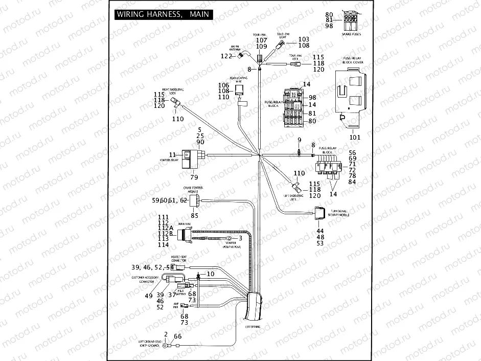WIRING HARNESS, MAIN (CONTINUED)