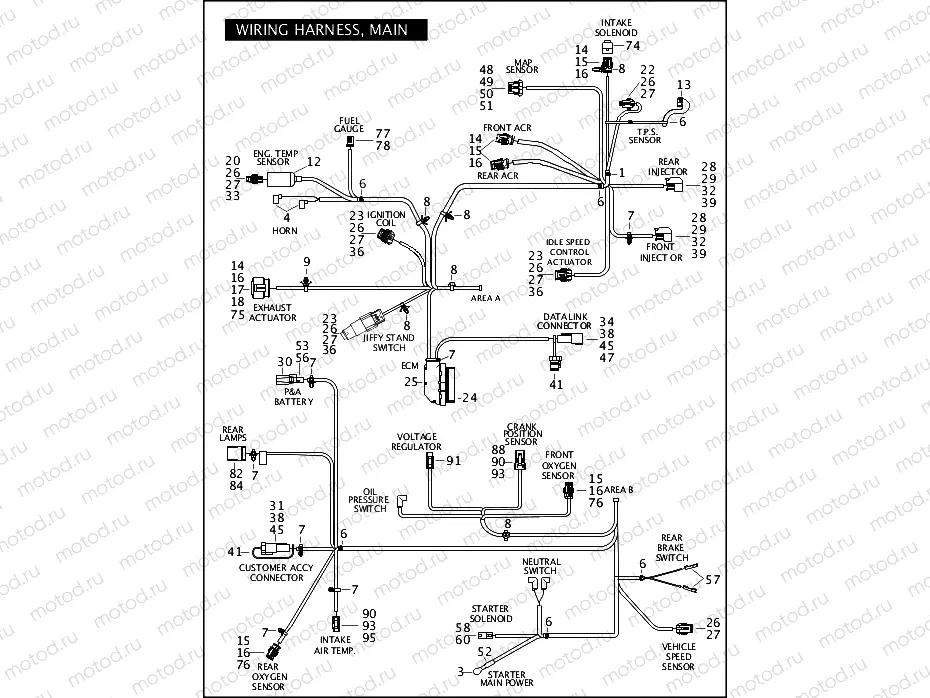 WIRING HARNESS, MAIN (CONTINUED)