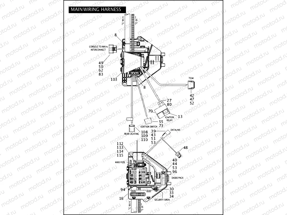 WIRING HARNESS, MAIN (CONTINUED)