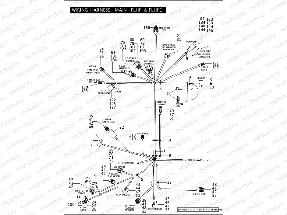 WIRING HARNESS, MAIN - FLHP & FLHPE