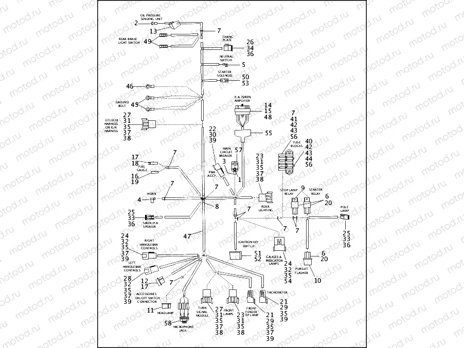 WIRING HARNESS, MAIN - FLHP/FLHPI (1 OF 2)