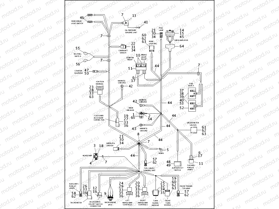 WIRING HARNESS, MAIN - FLHP/FLHPI (1 OF 2)