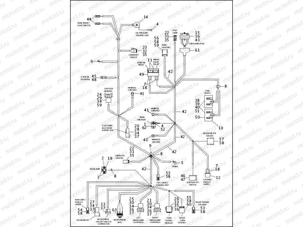 WIRING HARNESS, MAIN - FLHP/FLHPI (2 OF 2)