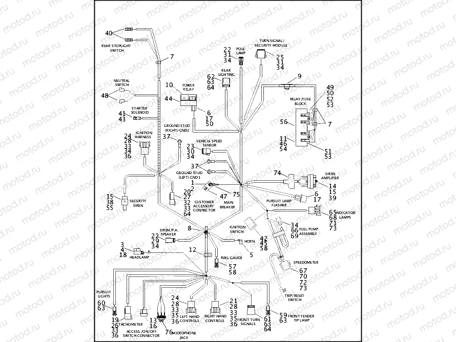 WIRING HARNESS, MAIN - FLHPI & FLHPEI (1 OF 2)