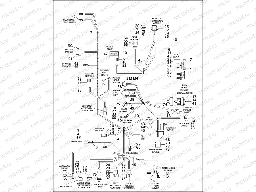 WIRING HARNESS, MAIN - FLHPI/FLHPEI (2 OF 2)