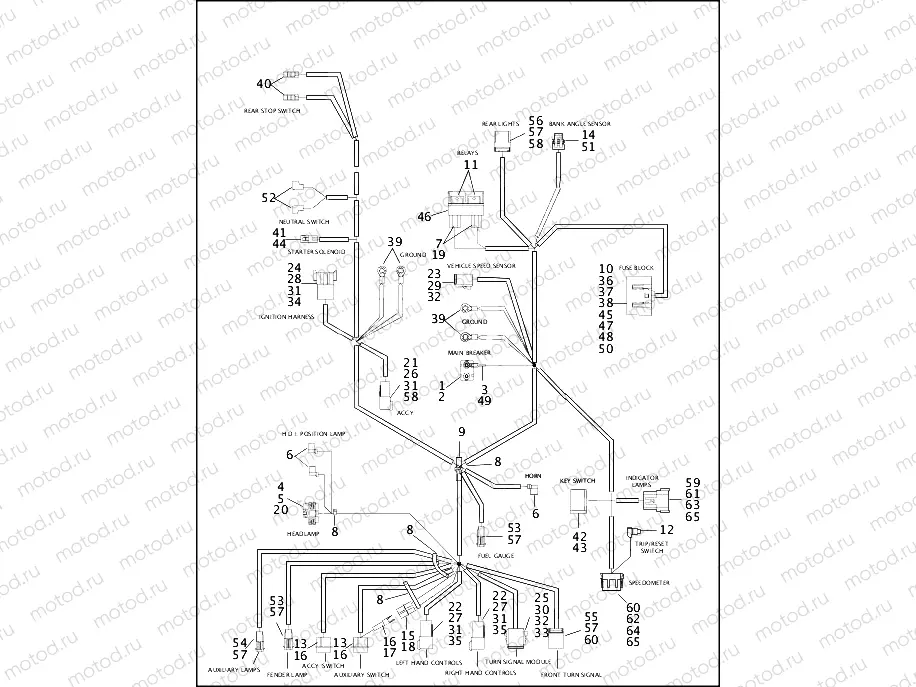 WIRING HARNESS, MAIN - FLHR & FLHRCI (2 OF 2)