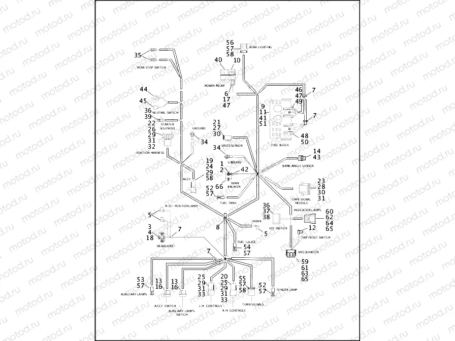 WIRING HARNESS, MAIN - FLHR, FLHRI & FLHRCI (1 OF 2)