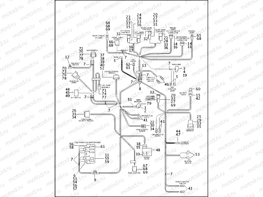 WIRING HARNESS, MAIN - FLHR, FLHRI & FLHRCI (1 OF 2)