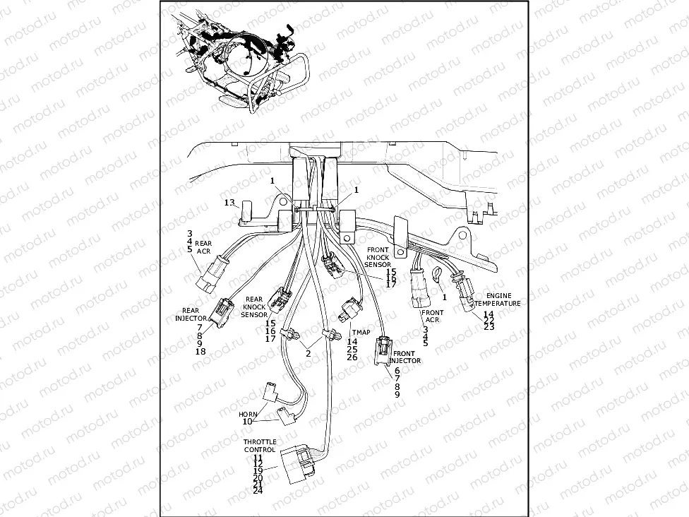 WIRING HARNESS, MAIN - FLHR, FLHRXS (3 OF 10)