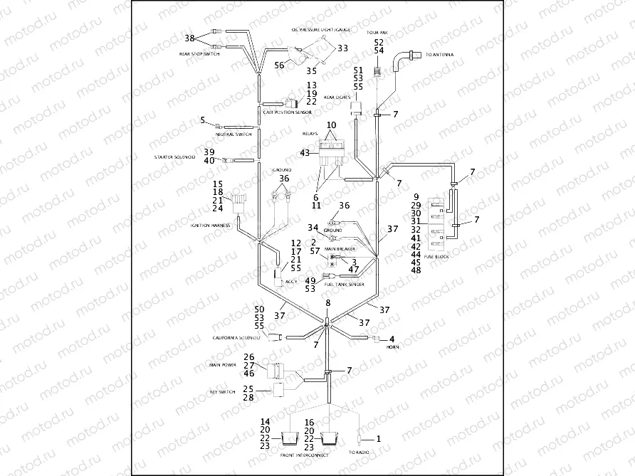WIRING HARNESS, MAIN - FLHT (1 OF 2)