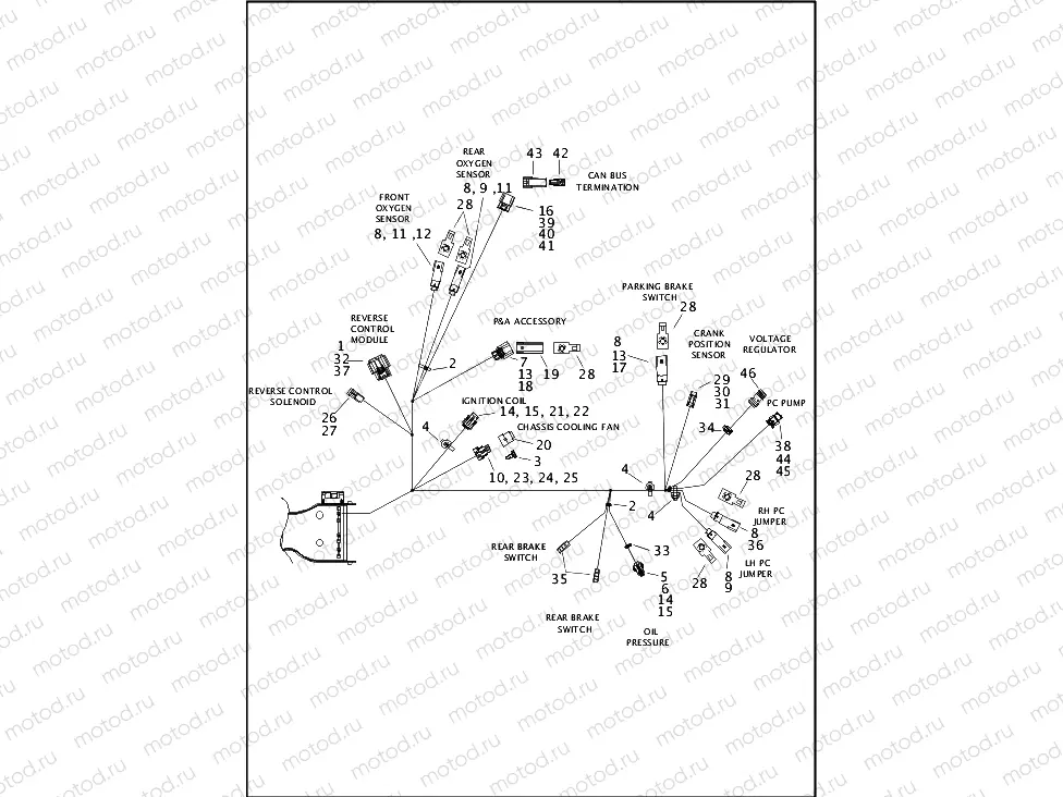 WIRING HARNESS, MAIN - FLHTCUTG (7 OF 8)