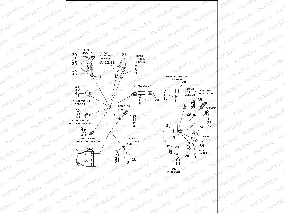 WIRING HARNESS, MAIN - FLHTCUTG (7 OF 9)