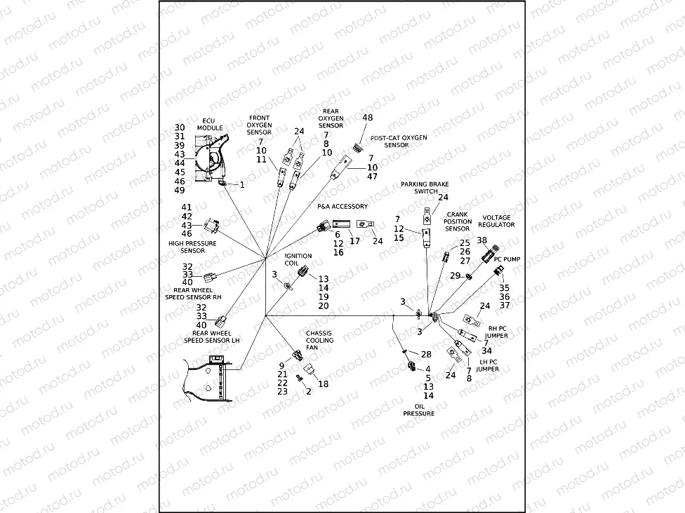 WIRING HARNESS, MAIN - FLHTCUTG (7 OF 9)