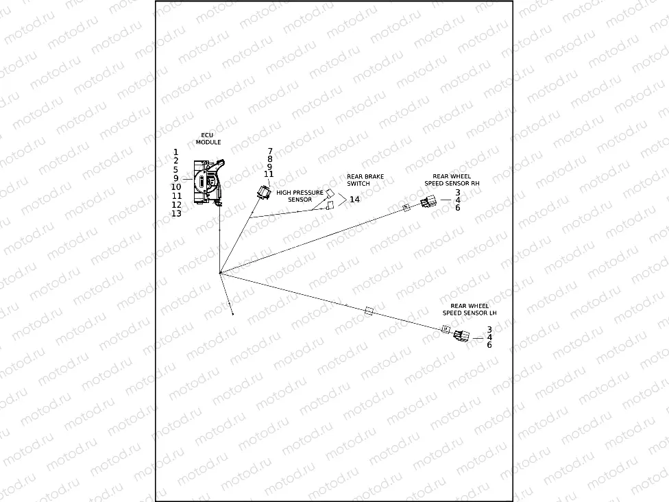 WIRING HARNESS, MAIN - FLHTCUTG, FLHTCUTGANV (8 OF 10)