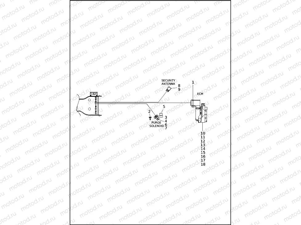 WIRING HARNESS, MAIN - FLRT (4 OF 9)