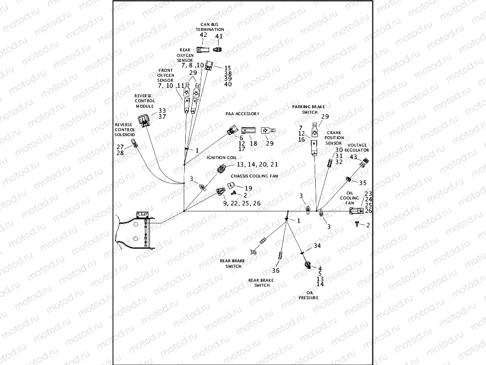 WIRING HARNESS, MAIN - FLRT (7 OF 8)