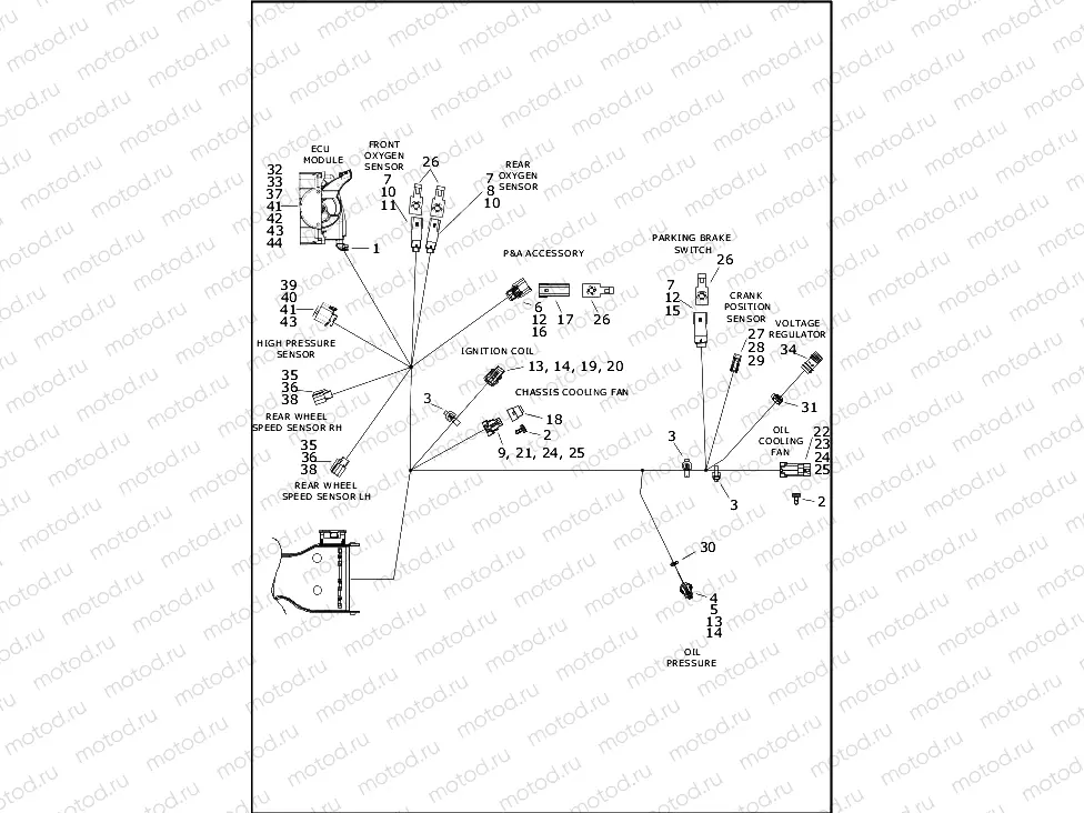 WIRING HARNESS, MAIN - FLRT (7 OF 9)