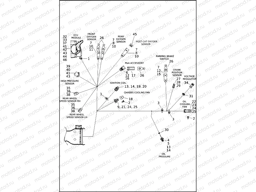 WIRING HARNESS, MAIN - FLRT (7 OF 9)