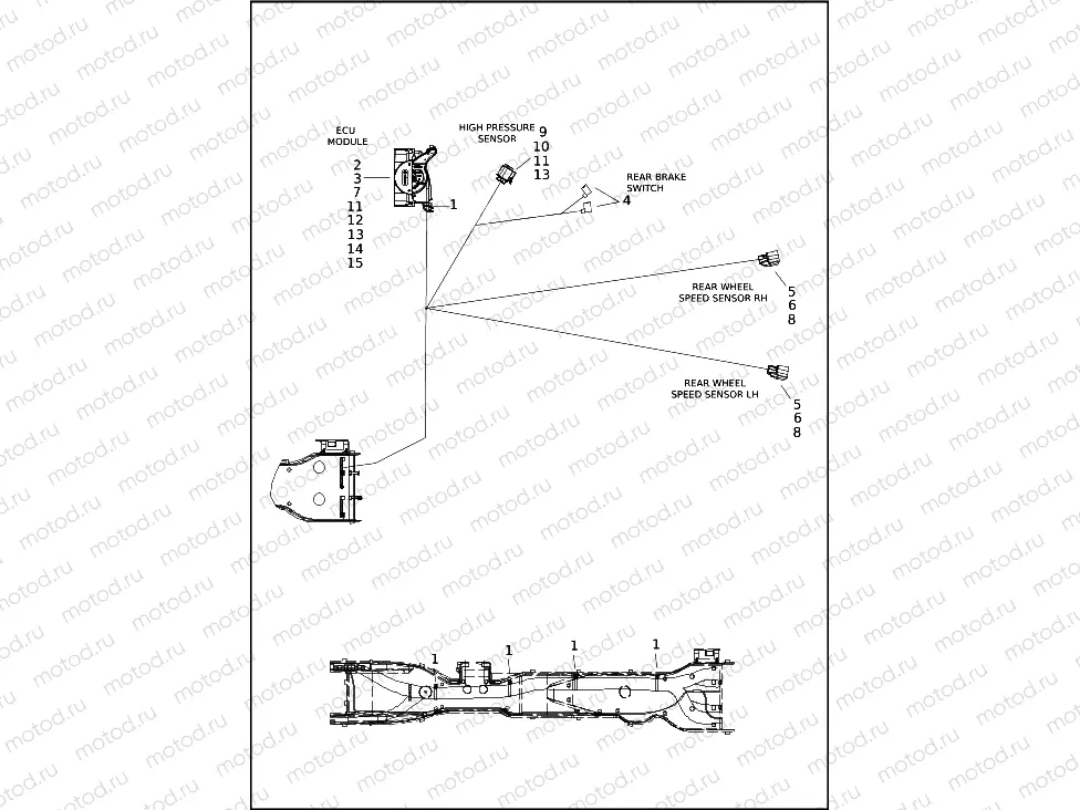 WIRING HARNESS, MAIN - FLRT (8 OF 10)