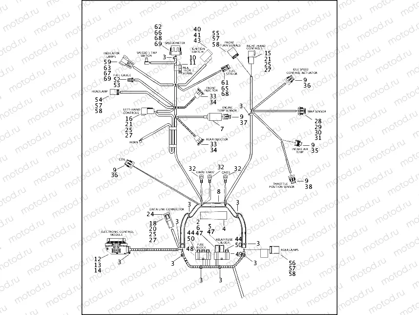 WIRING HARNESS, MAIN - FUEL INJECTED (1 OF 2)