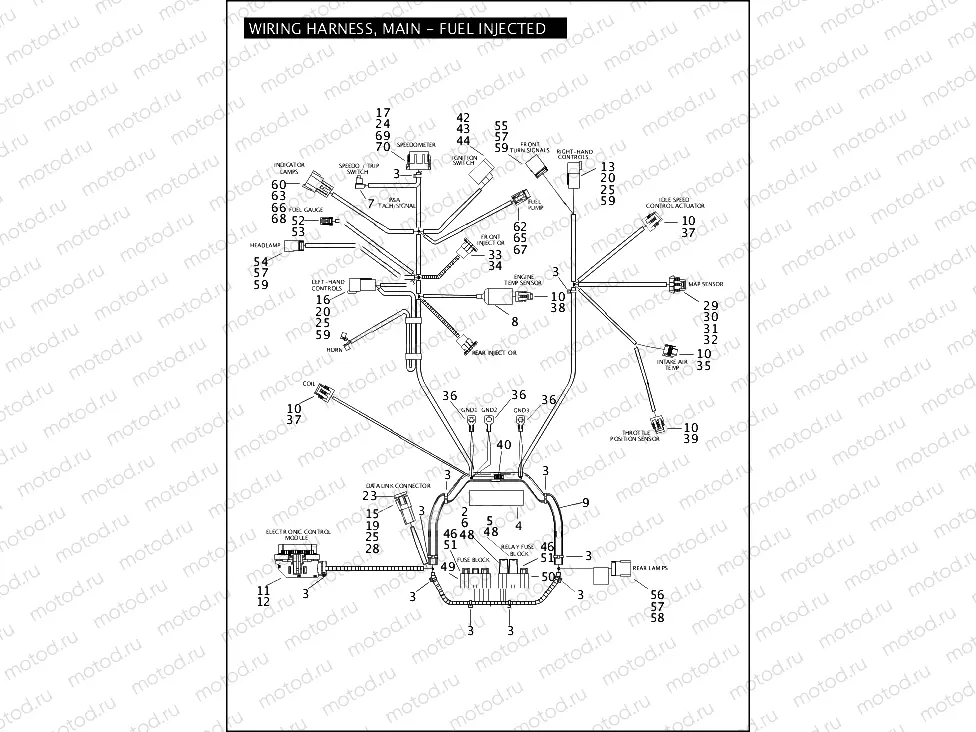 WIRING HARNESS, MAIN - FUEL INJECTED (1 OF 2)