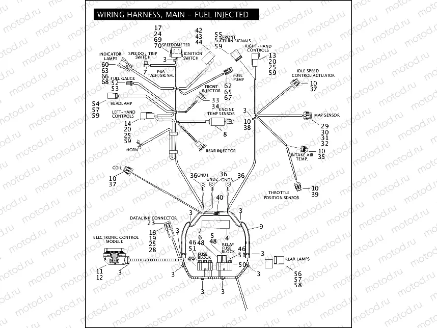 WIRING HARNESS, MAIN - FUEL INJECTED (1 OF 2)