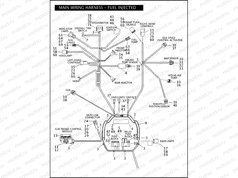 WIRING HARNESS, MAIN - FUEL INJECTED (1 OF 2)