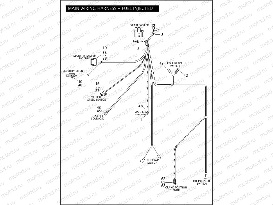WIRING HARNESS, MAIN - FUEL INJECTED (2 OF 2)