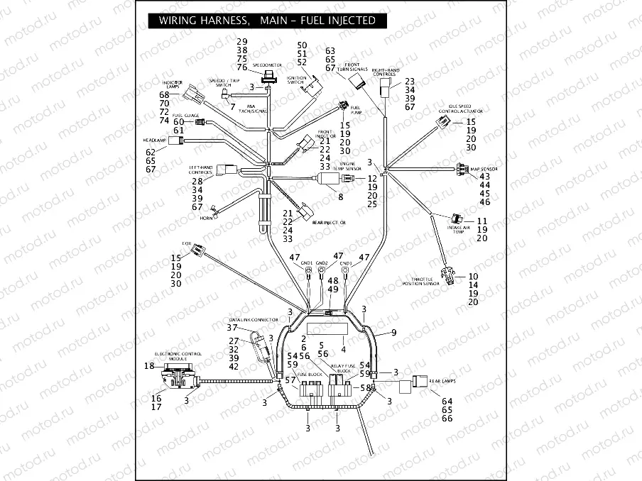 WIRING HARNESS, MAIN - FUEL INJECTED