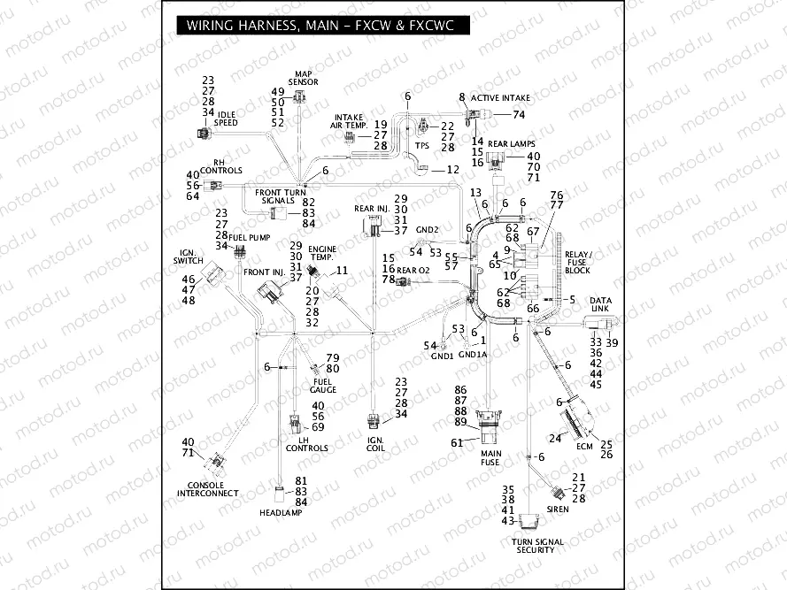 WIRING HARNESS, MAIN - FXCW & FXCWC (1 OF 2)