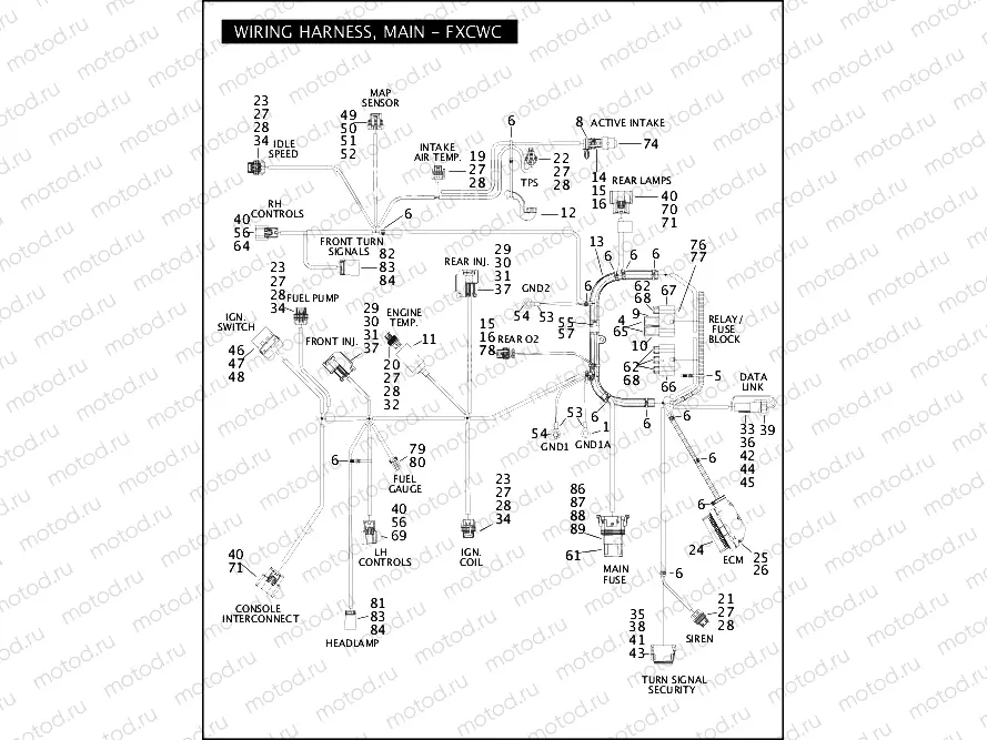 WIRING HARNESS, MAIN - FXCWC (1 OF 2)