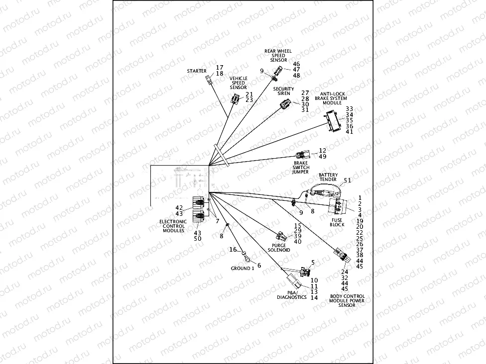 WIRING HARNESS, MAIN, KEYLESS, ABS (3 OF 4)