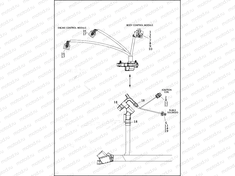 WIRING HARNESS, MAIN, NON-ABS (4 OF 6)
