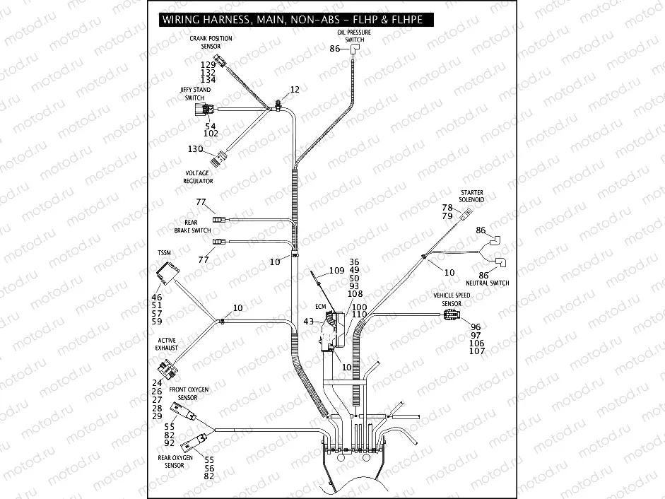 WIRING HARNESS, MAIN, NON-ABS - FLHP & FLHPE (5 OF 5)