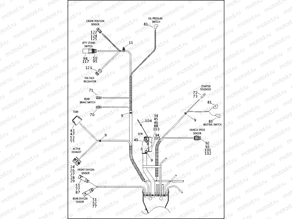 WIRING HARNESS, MAIN, NON-ABS (NON-FAIRING MODELS) (5 OF 5)