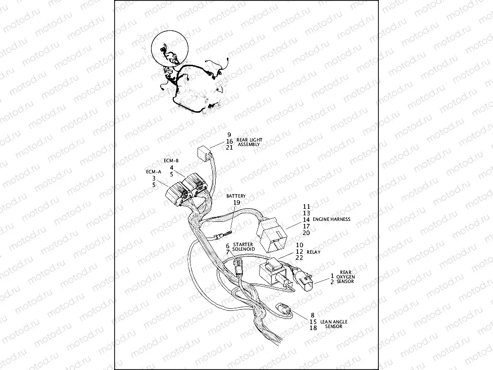 WIRING HARNESS, MAIN (REAR UPPER)