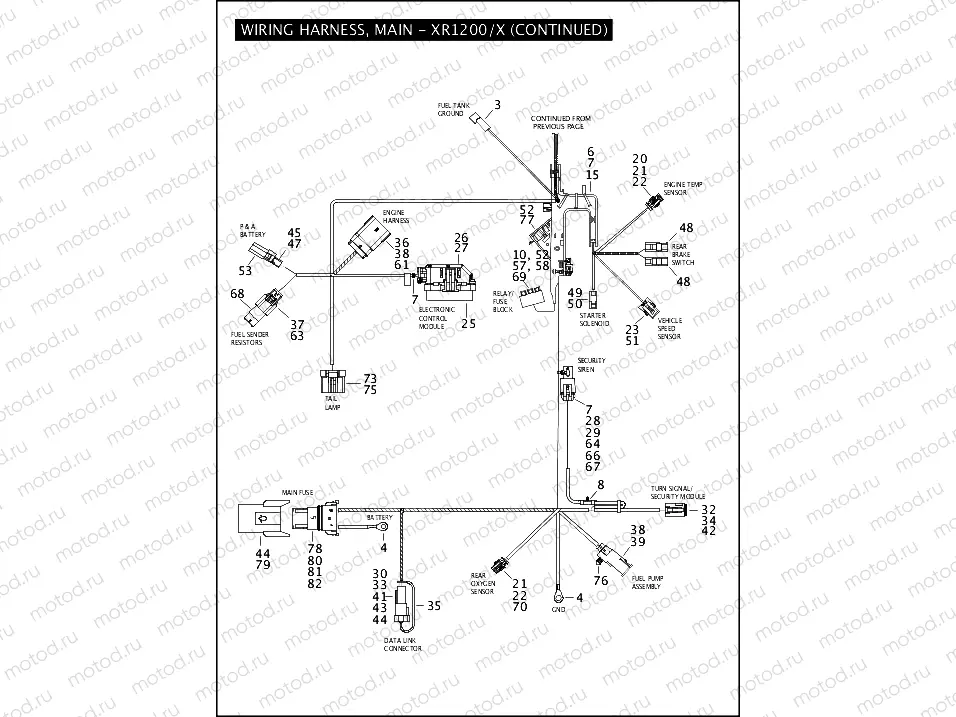WIRING HARNESS, MAIN - XR1200/X (2 OF 2)