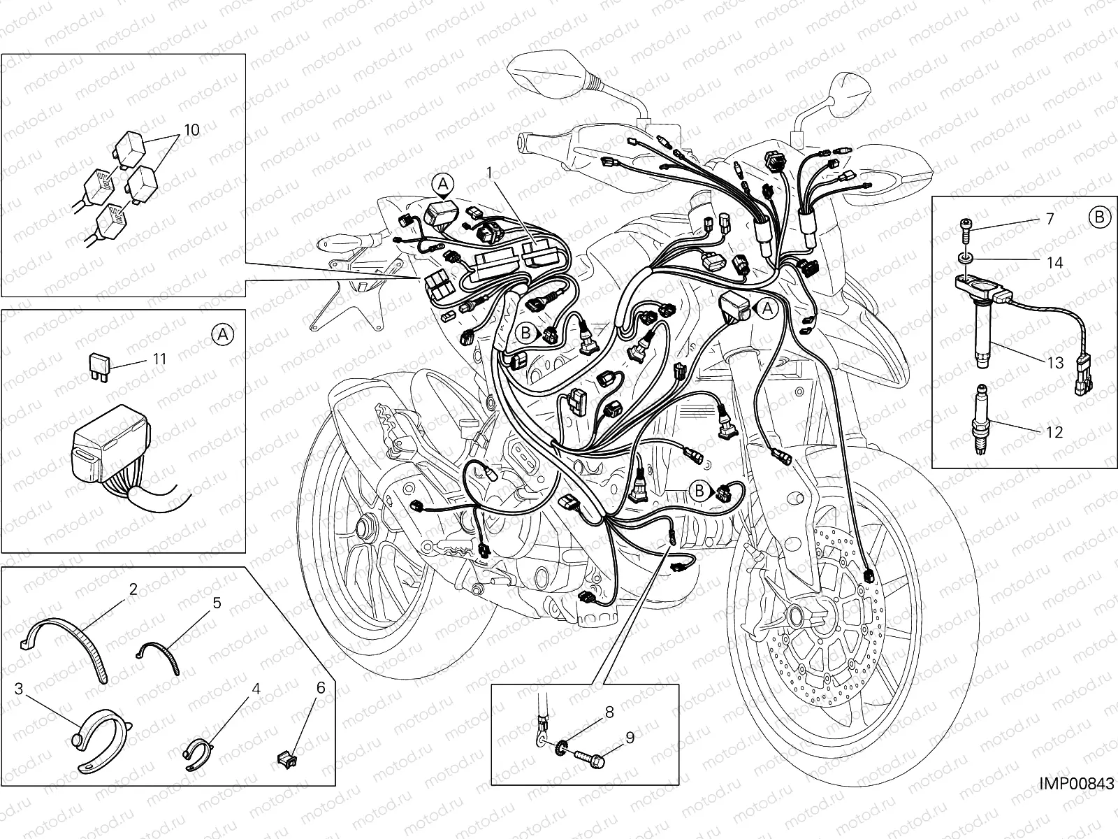 WIRING HARNESS [MOD:HYM;XST:AUS,EUR,FRA,JAP,TWN]