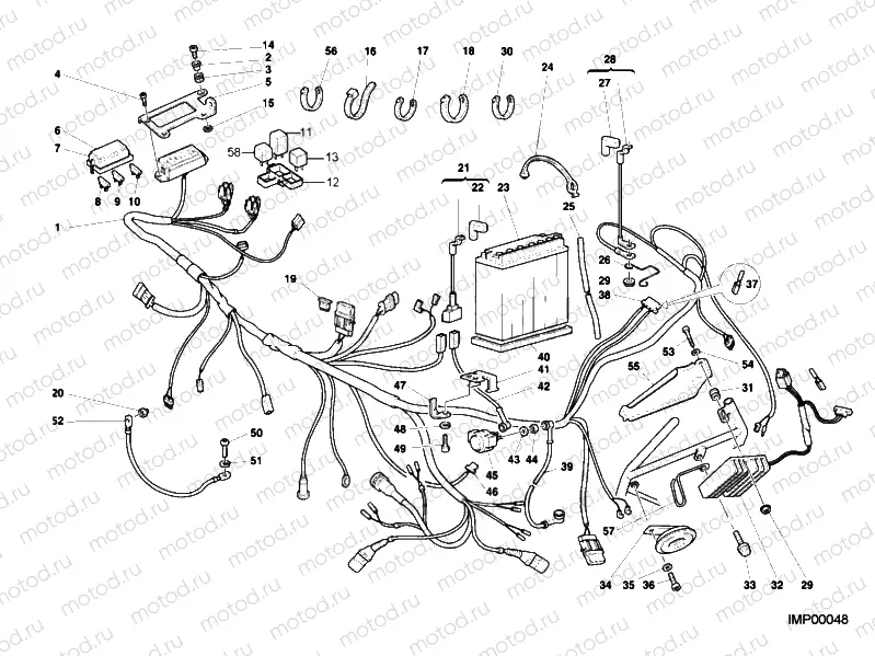 WIRING HARNESS MY00 » WIRING HARNESS