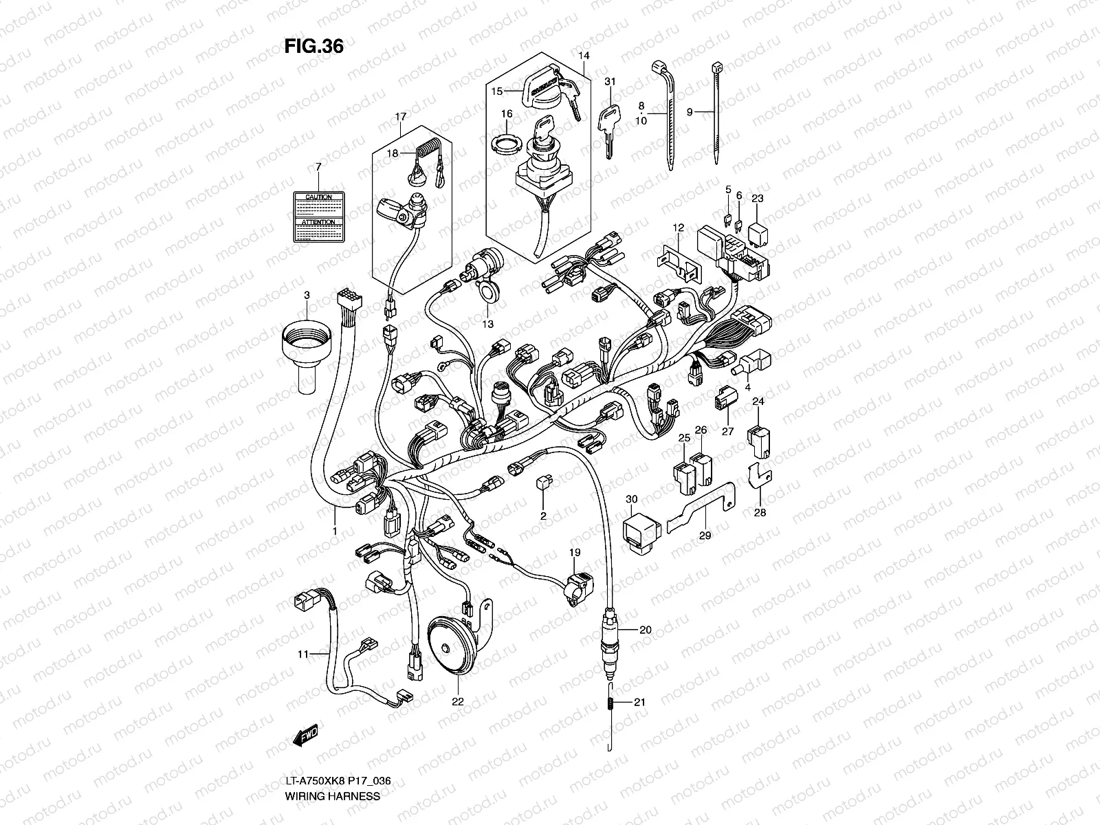 WIRING HARNESS (P17)