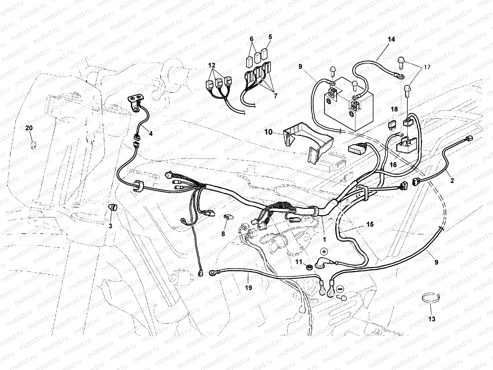 WIRING HARNESS (TXC)