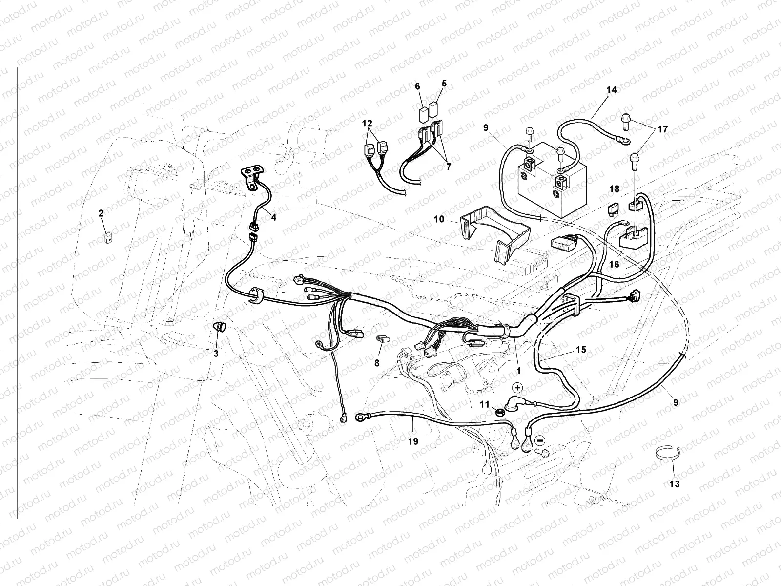 WIRING HARNESS (TXC)