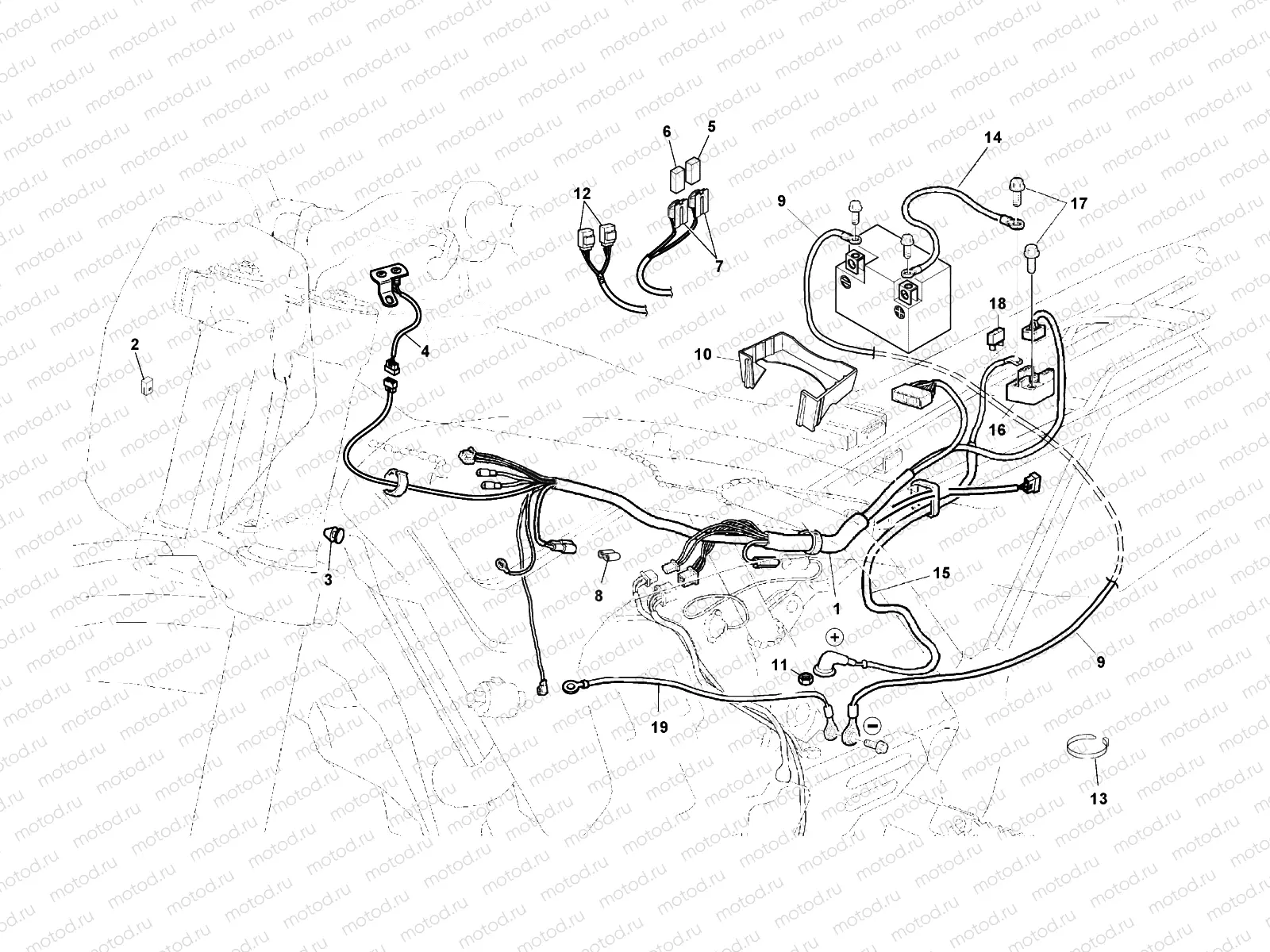 WIRING HARNESS (TXC)