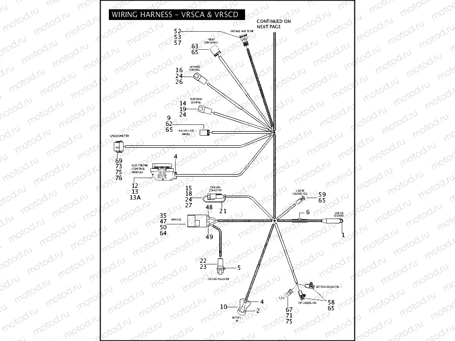 WIRING HARNESS - VRSCA & VRSCD