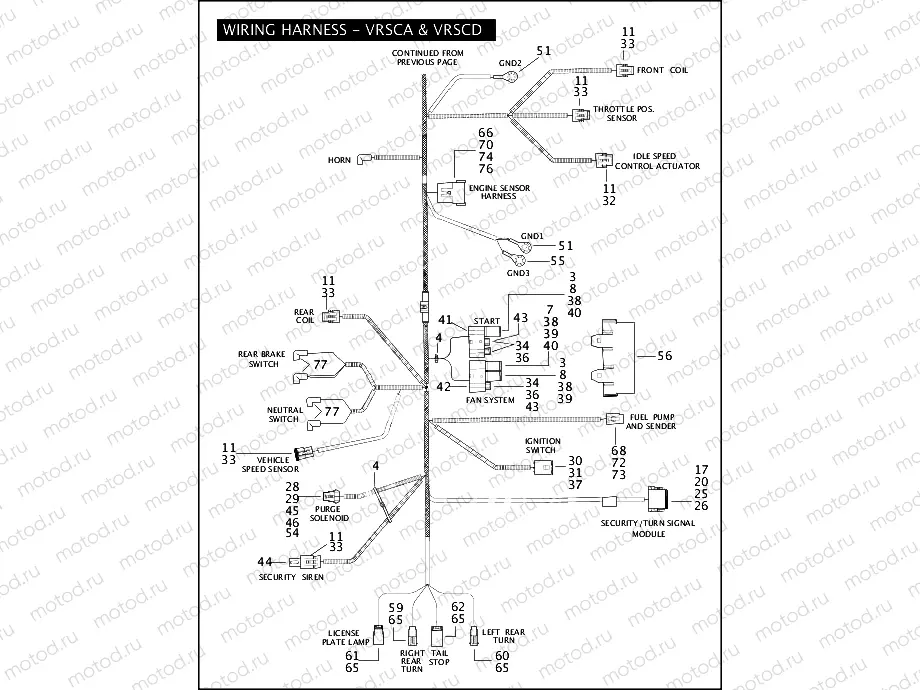 WIRING HARNESS - VRSCA & VRSCD (CONTINUED)